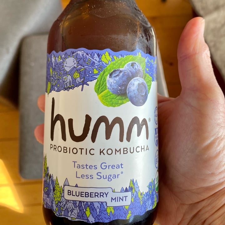 photo of Humm Kombucha Blueberry Mint shared by @sandrews on  25 Nov 2022 - review
