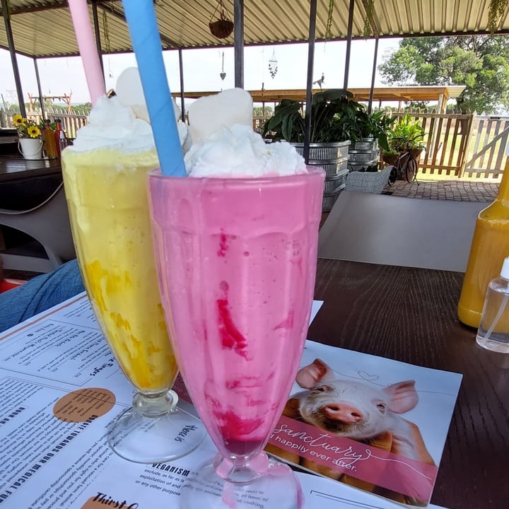 review photo of Asher's Corner Cafe @ Ashers Farm Sanctuary The Mediterranean shared by @shyvw on 04 May 2022 - review