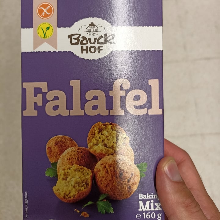 photo of Bauck Hof Falafel (mix) shared by @trajkovskagutierrez on  24 Jun 2022 - review