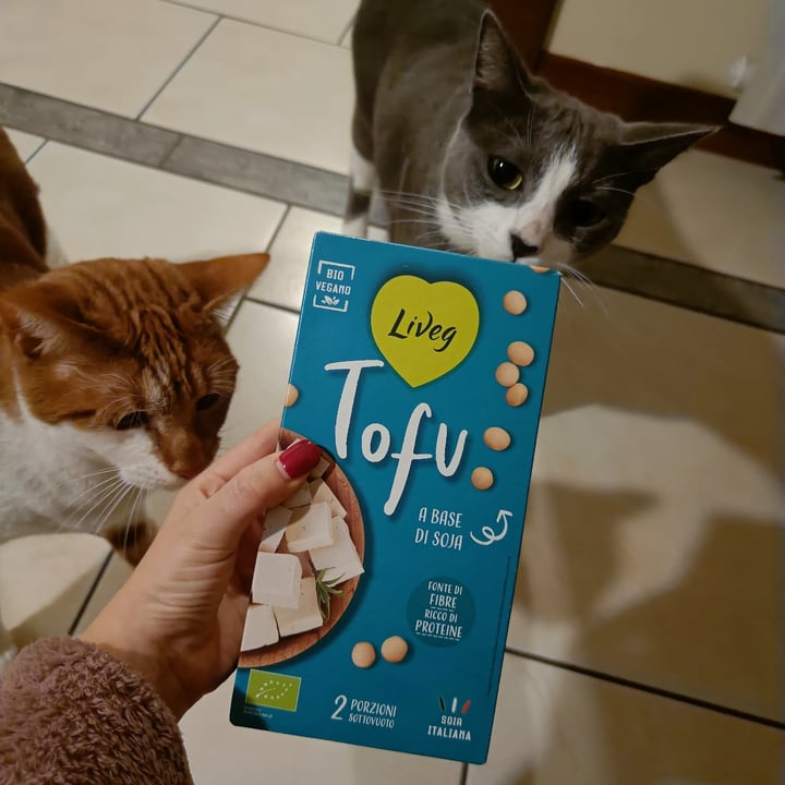 photo of Liveg Tofu shared by @itsjulie30 on  08 Dec 2022 - review