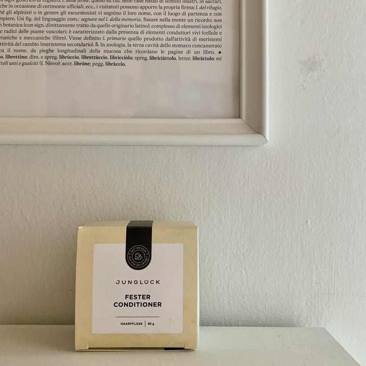 review photo of fester conditioner Fester Conditioner shared by @martina1402 on 23 Jun 2022 - review