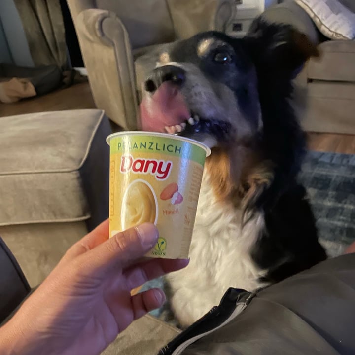 photo of Dany Vanilla shared by @holly808 on  20 Jul 2021 - review