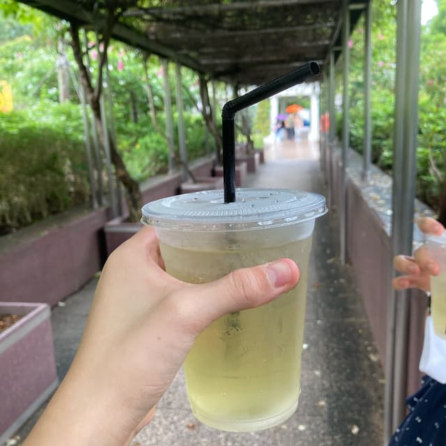 Photo of the dish “Classic lemongrass tea”