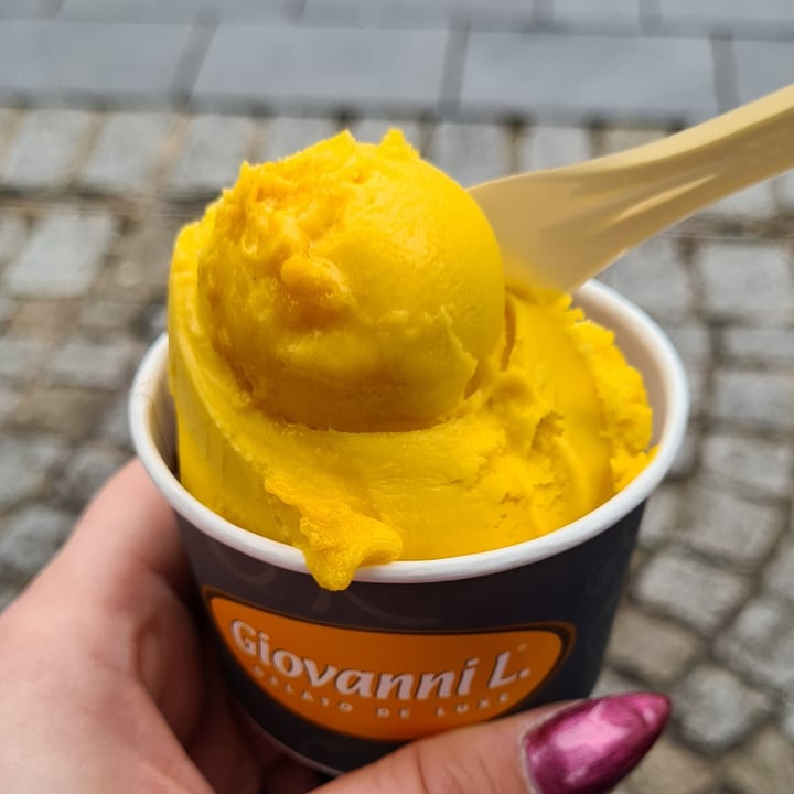 photo of Giovanni L. – GELATO DE LUXE | Neumünster -Designer Outlet Center- Mango Ice Cream shared by @koalamaedchen on  07 Apr 2021 - review