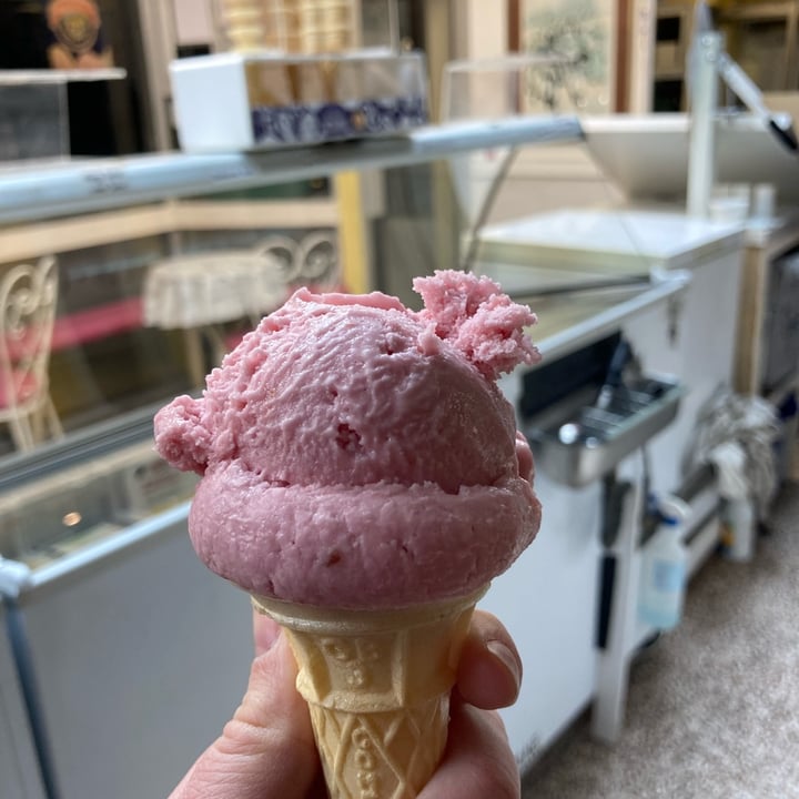 photo of Thayers Raspberry Sorbet shared by @chloslo on  18 Apr 2022 - review