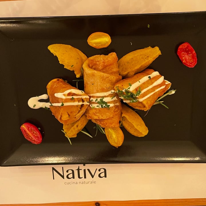 photo of Nativa Ristorante involtini di tofu affumicato shared by @valerio2791 on  08 Sep 2022 - review