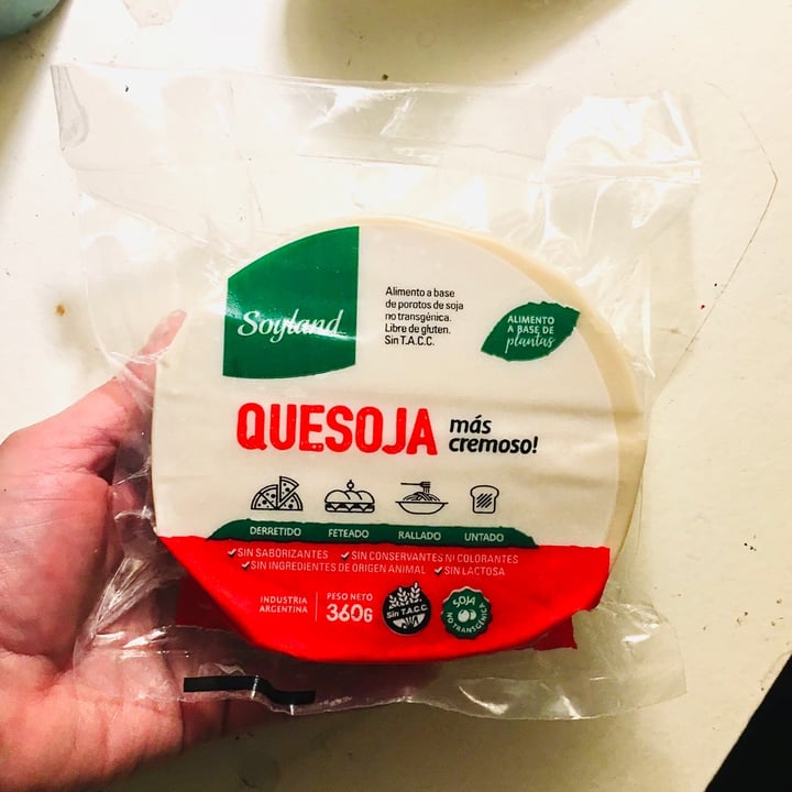 photo of SoyLand Quesoja Mas Cremoso shared by @vforvegan on  28 Aug 2021 - review