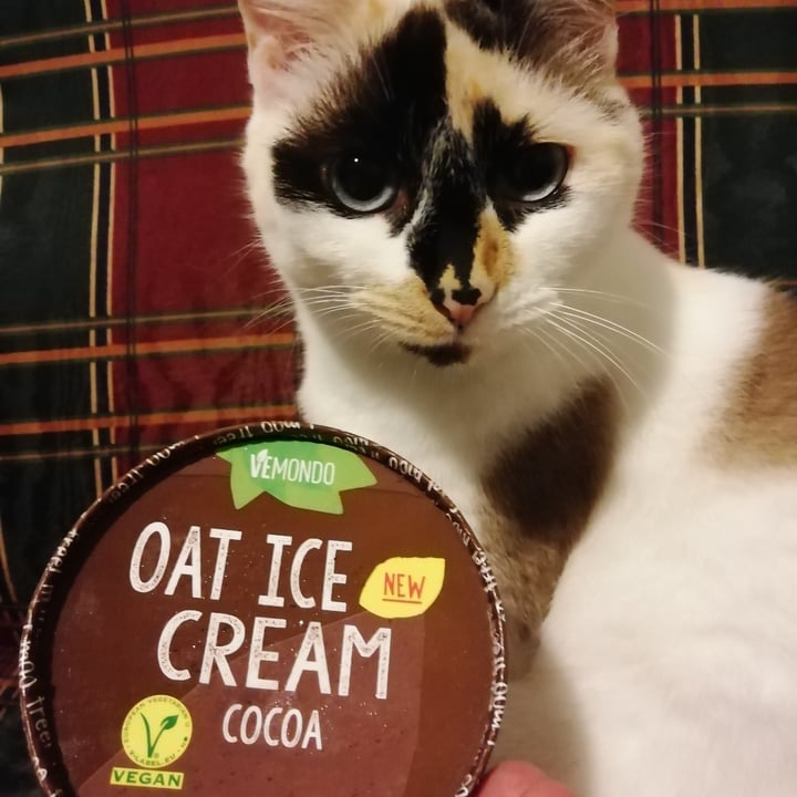 photo of Vemondo Oat ice cream cocoa shared by @anathedoglady on  04 Aug 2021 - review