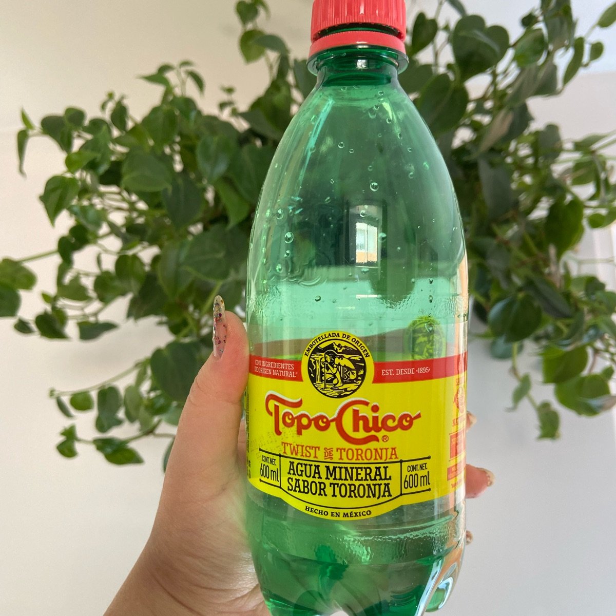 Agua Mineral Topo Chico 600 Ml