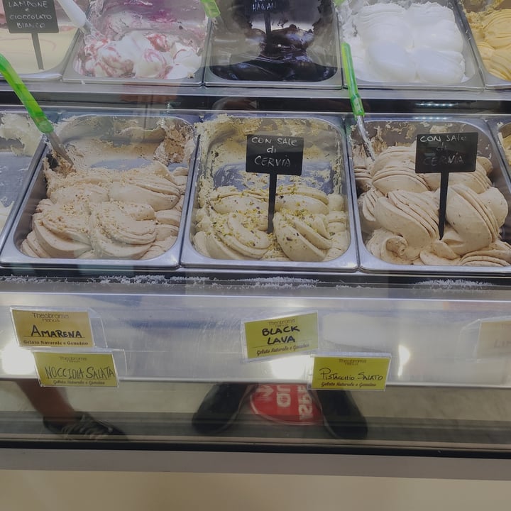 review photo of Theobroma Nanus Gelato shared by @emmulvio on 25 Aug 2022 - review