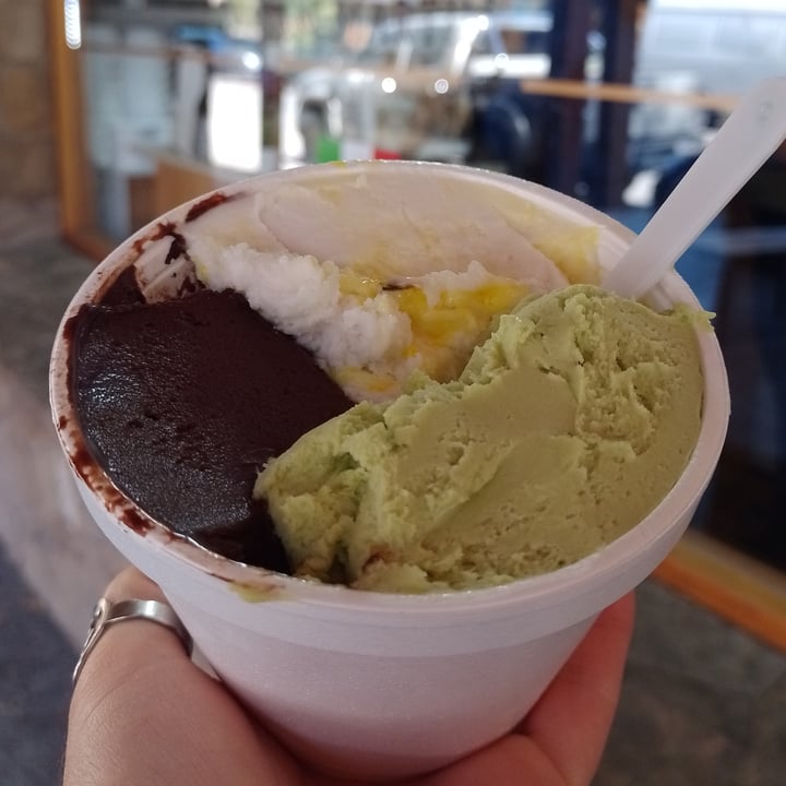 photo of Heladería Artesanal San Martín Helados shared by @lafloravegana on  15 Mar 2022 - review