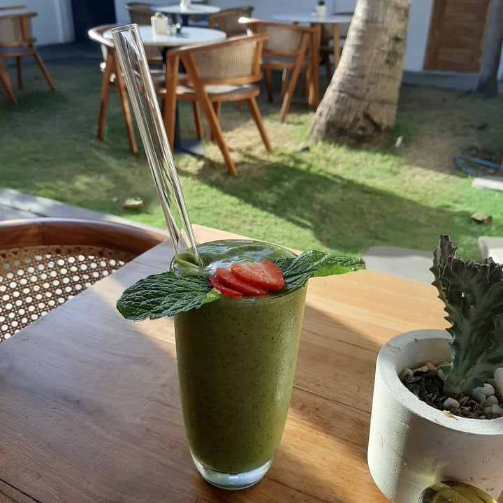 photo of Ours Uluwatu Simple Green shared by @plantsfeelthough on  01 Jul 2020 - review