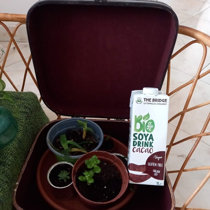 photo of The Bridge Bio Soya Drink Cacao shared by @cardax on  15 Oct 2022 - review