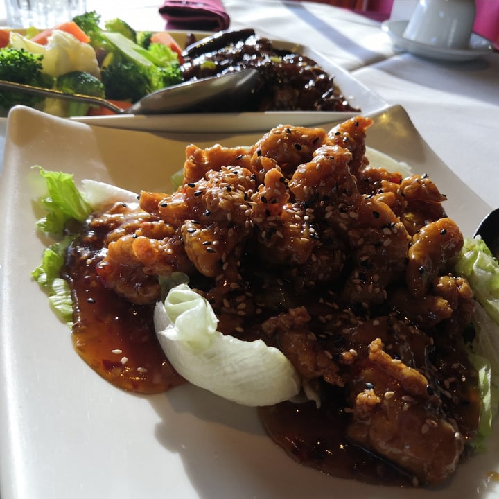 review photo of Imperial Chinese Seafood Soy Vegetarian Sesame Chicken shared by @melayala1 on 06 Nov 2020 - review