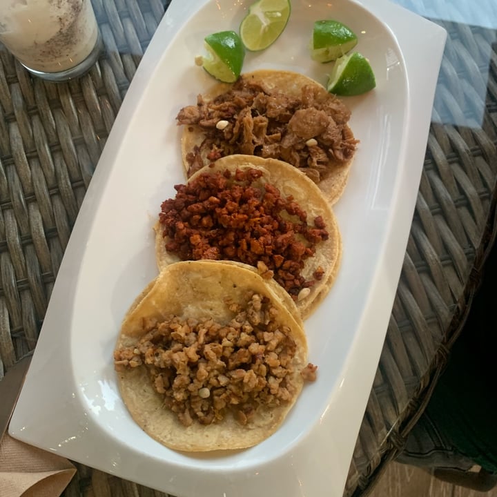 photo of YOYU Tacos Yoyu shared by @apaulapimentel on  14 Nov 2021 - review