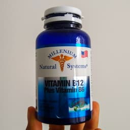 Millenium Natural Systems