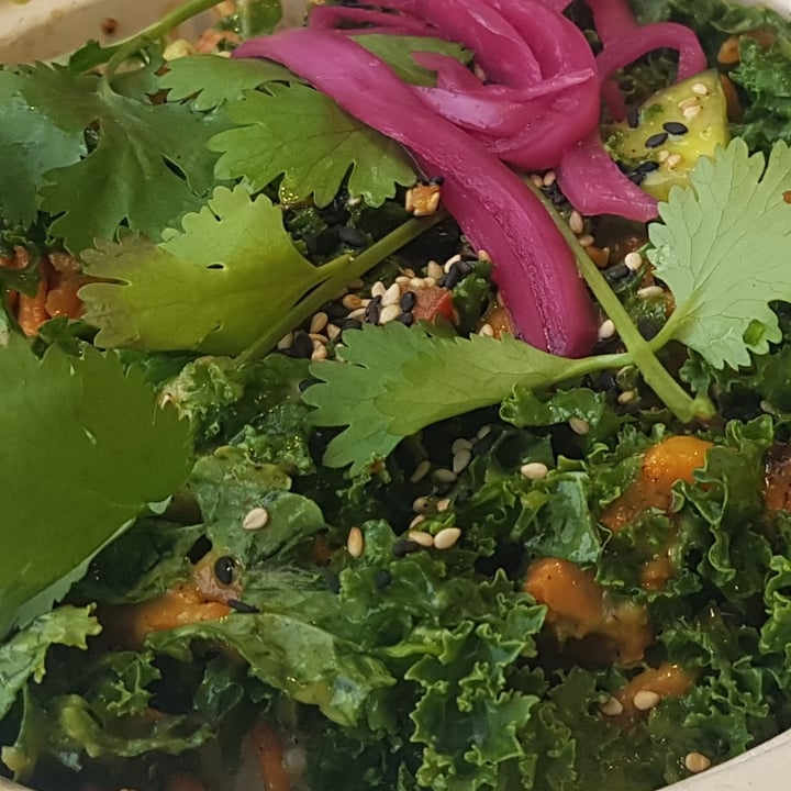 review photo of Hula Yuzu (traditional) shared by @plantivorous on 24 Nov 2022 - review