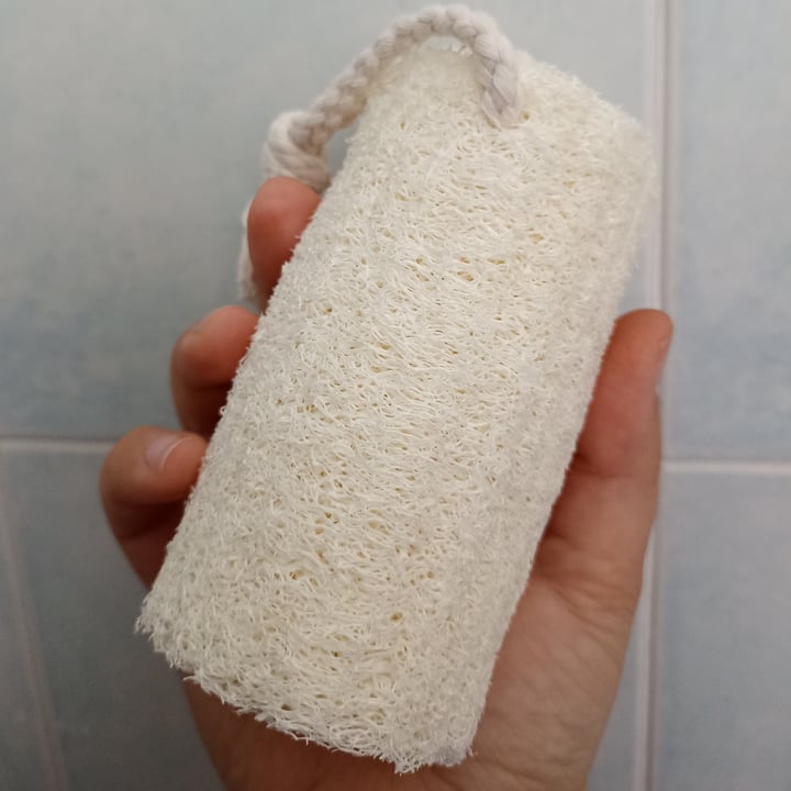 review photo of Flying Tiger Natural sponge shared by @nicoleseveri on 21 Apr 2022 - review