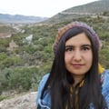 aleegz @aleegz profile image