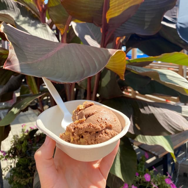 Photo of the dish “Peanut Butter Cup Ice Cream”