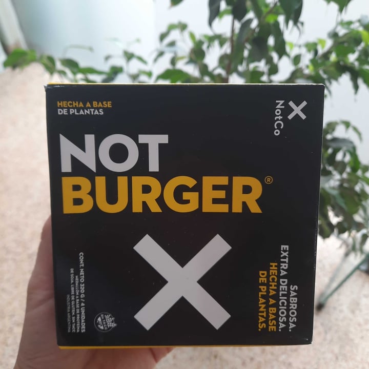 photo of NotCo Not Burger shared by @marianamalacarne on  28 Jan 2021 - review