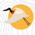 ribeirohelena @ribeirohelena profile image