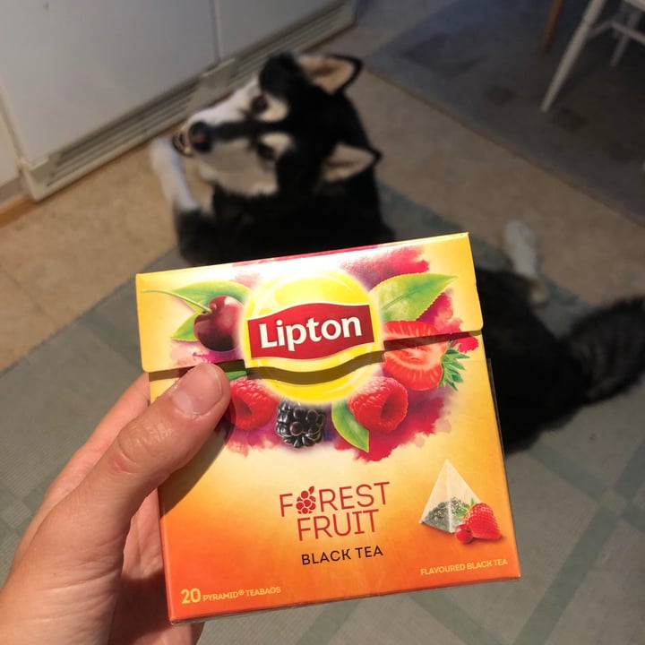 photo of Lipton Lipton Forest Fruits Black Tea shared by @annbience on  31 Aug 2020 - review