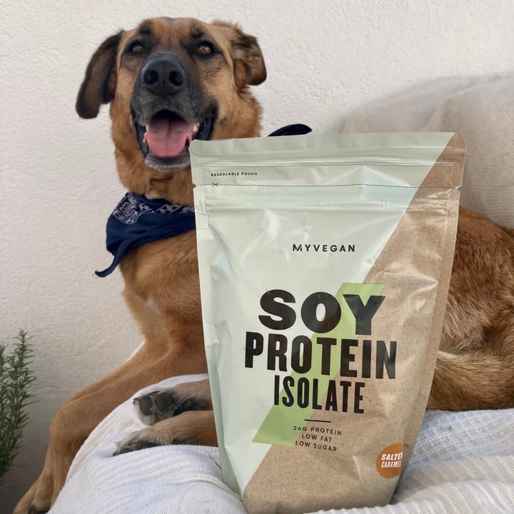 MYVEGAN Soy Protein Isolate, Salted Caramel Review abillion