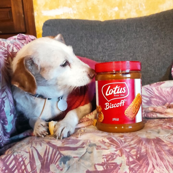 photo of Lotus Biscoff Biscoff cookie butter shared by @elur on  06 Jan 2022 - review