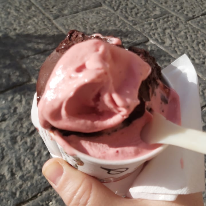 review photo of Fanaberia Cafe Gelateria Siciliana Helado de chocolate y fresa shared by @winnieandbeltrux on 22 Dec 2022 - review