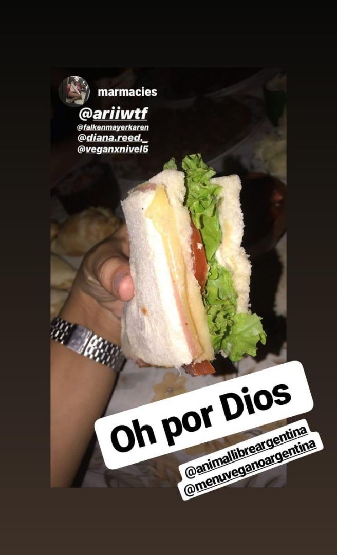 photo of Nivel 5 Sándwich De No Jamón Y No Queso shared by @ariiwtf269 on  01 Feb 2020 - review