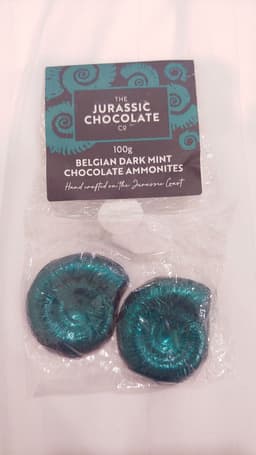 Jurassic Chocolate Co.