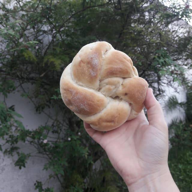 Photo of the dish “Pan de cebolla”