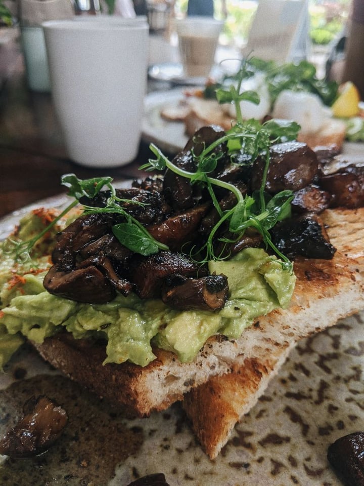 review photo of Common Man Coffee Roasters Marmite Mushrooms shared by @harsha on 17 Feb 2020 - review