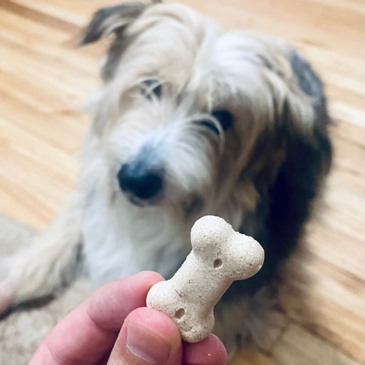 photo of Yarrah Biscuits for Smaller Dogs shared by @mikelpro on  24 Aug 2021 - review