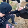 gloomyvegan @gloomyvegan profile image