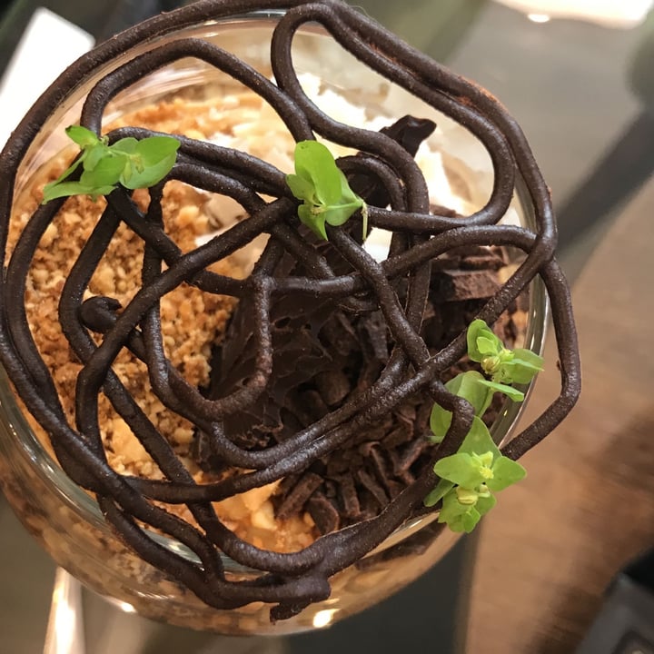 photo of Botánica Coffee House Mousse De Chocolate shared by @mayeetavera on  16 Apr 2022 - review