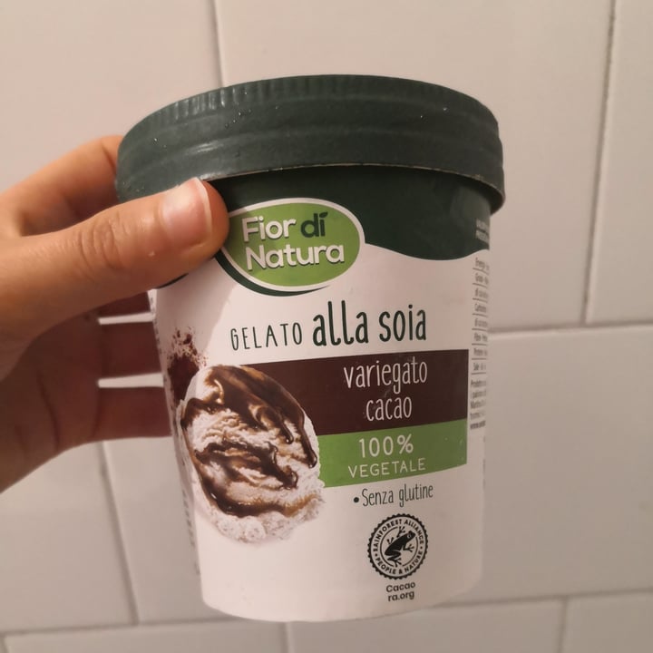 review photo of Fior di Natura Gelato Alla Soia Variegato Cacao shared by @chinaany on 17 Jun 2022 - review