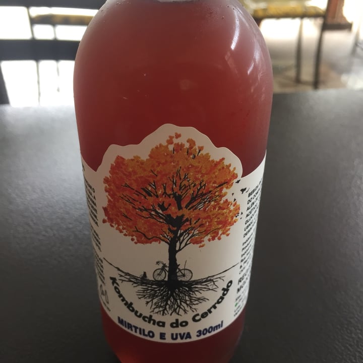 photo of kombucha do Cerrado kombucha shared by @shandra on  11 Nov 2022 - review