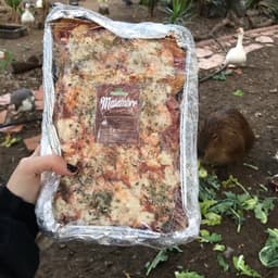 PampaVeg