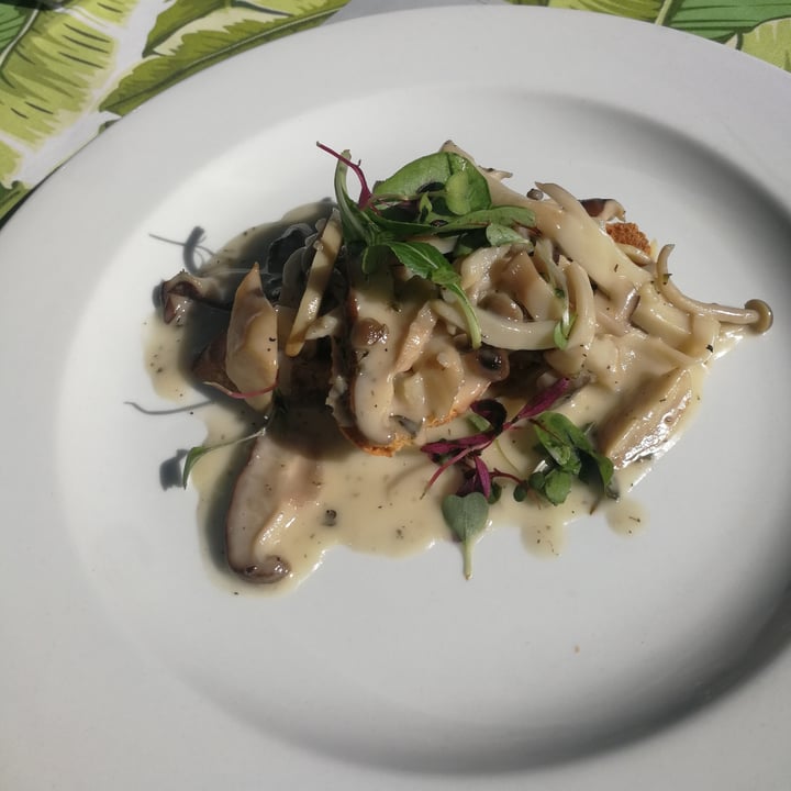photo of Avontuur Estate Restaurant Garlic Mushrooms On Toast shared by @mel-b on  30 Aug 2021 - review