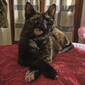 @barb30493 profile image