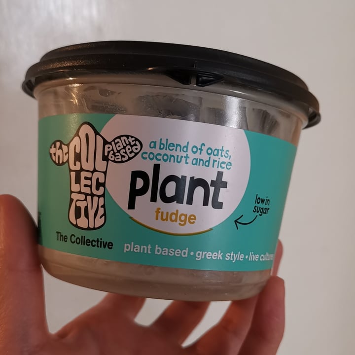 photo of The Collective Plant Based Fudge Greek style yoghurt shared by @annamango on  25 Jun 2021 - review