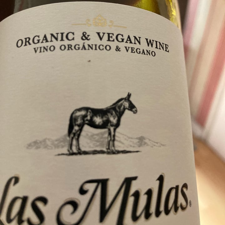 review photo of Las Mulas Vino Tinto Carmenere shared by @ximenamargarita on 09 Jul 2022 - review