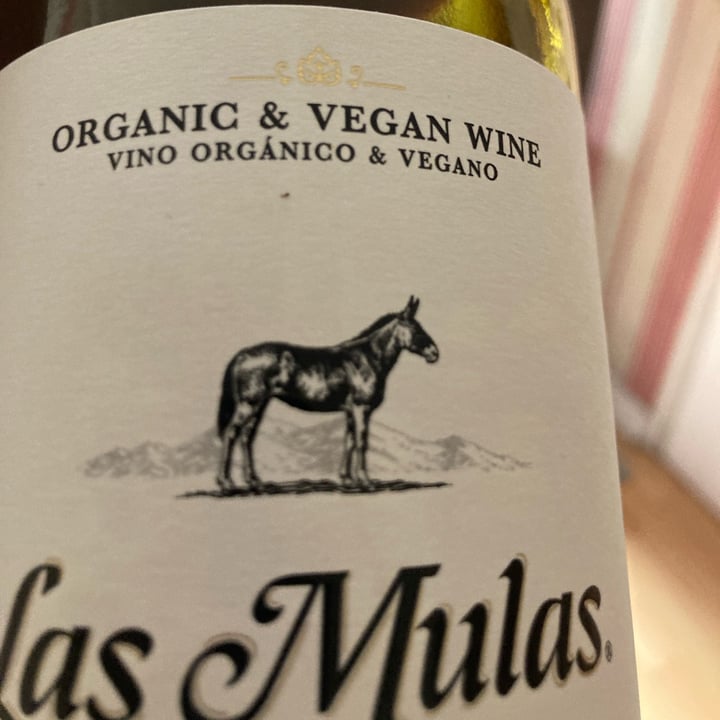 photo of Las Mulas Vino Tinto Carmenere shared by @ximenamargarita on  09 Jul 2022 - review