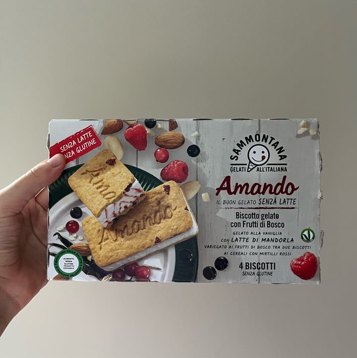 photo of Sammontana biscotto gelato alla vaniglia variegato ai frutti di bosco shared by @yleniab on  19 Aug 2022 - review