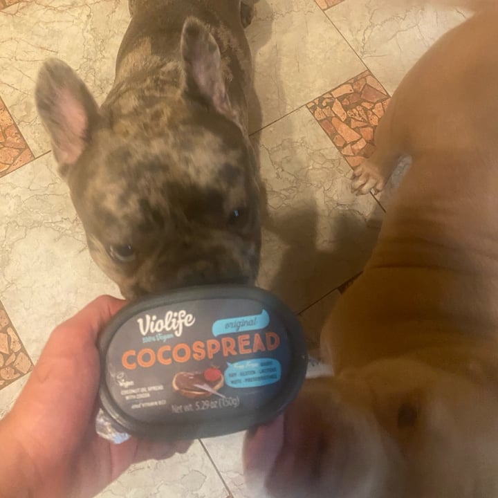 photo of Violife Cocospread shared by @convicti0n on  15 Jun 2022 - review