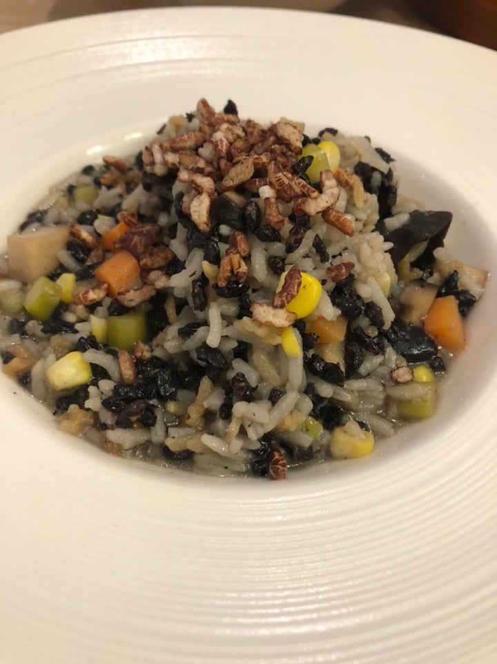 photo of Elemen @ HarbourFront Truffle Mushroom Risotto shared by @cel on  21 Jan 2020 - review