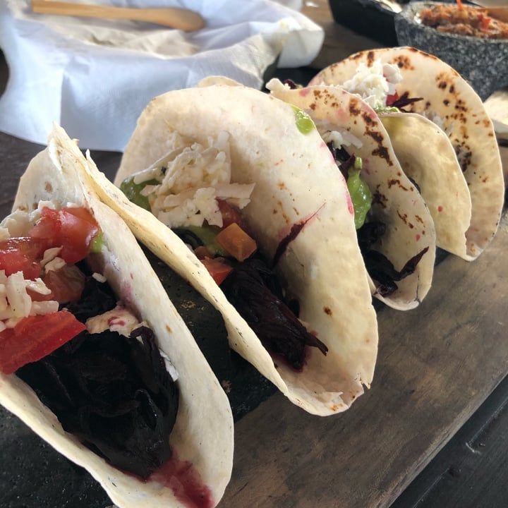 photo of Bendito Sabor Tacos de jamaica shared by @soffl on  26 Sep 2021 - review