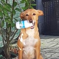 sissicrissi @sissicrissi profile image